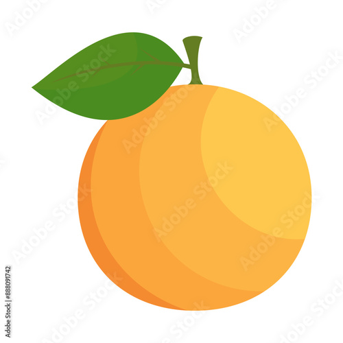 illustration of ripe orange fruit isolated