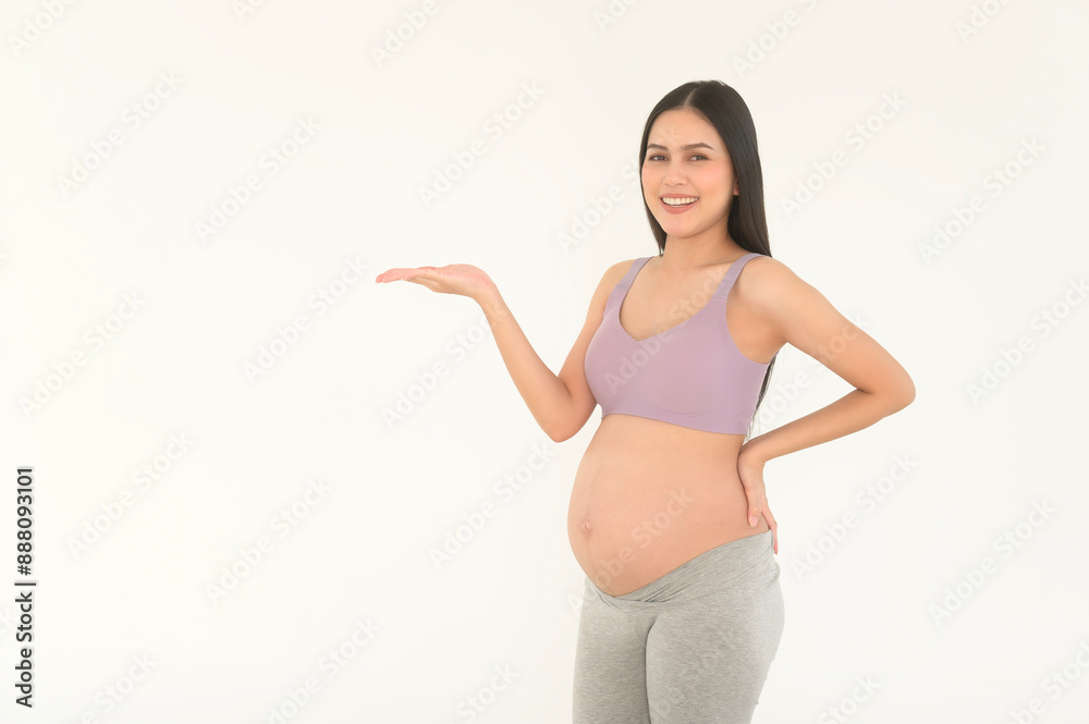Portrait of Beautiful pregnant woman maternity concept Portrait of Beautiful pregnant woman maternity concept