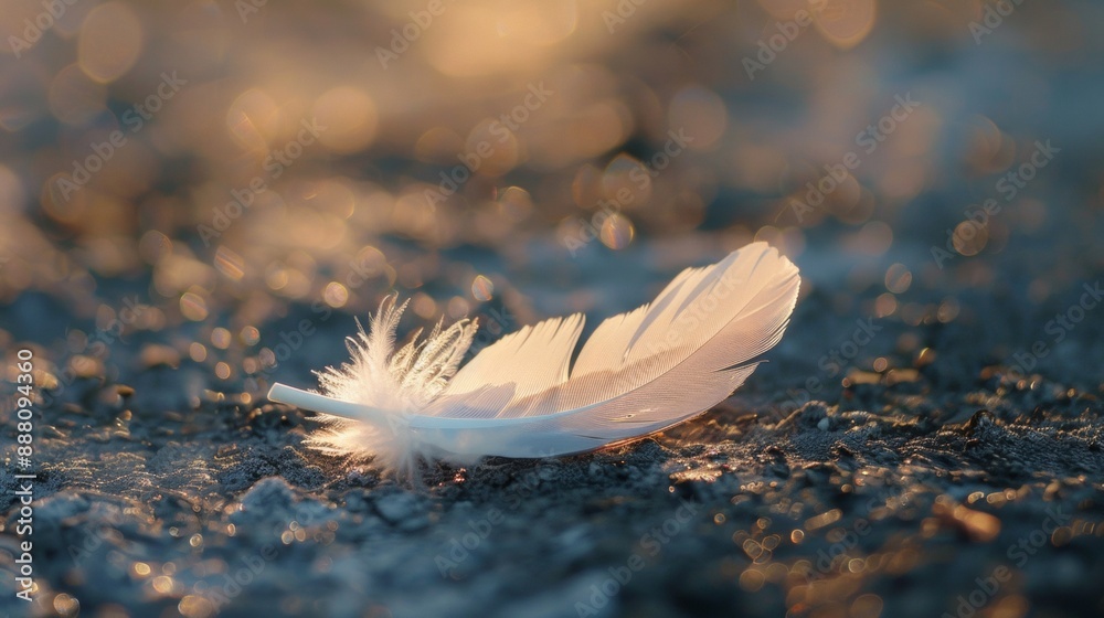 A white feather is laying on the ground A white feather is laying on the ground
