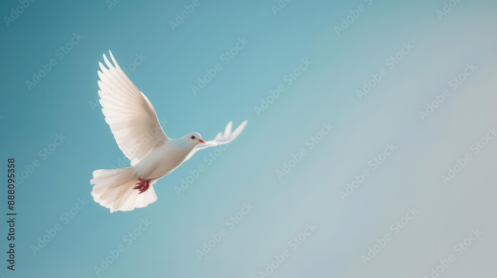 Obraz premium A white dove flying against a clear blue sky, carrying an olive branch