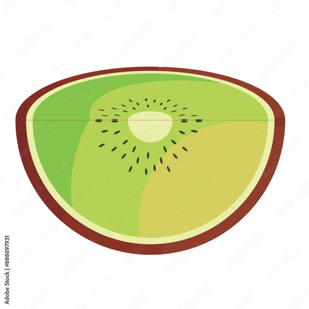 vector kiwi, isolated kiwi fruit illustration vector kiwi, isolated kiwi fruit illustration
