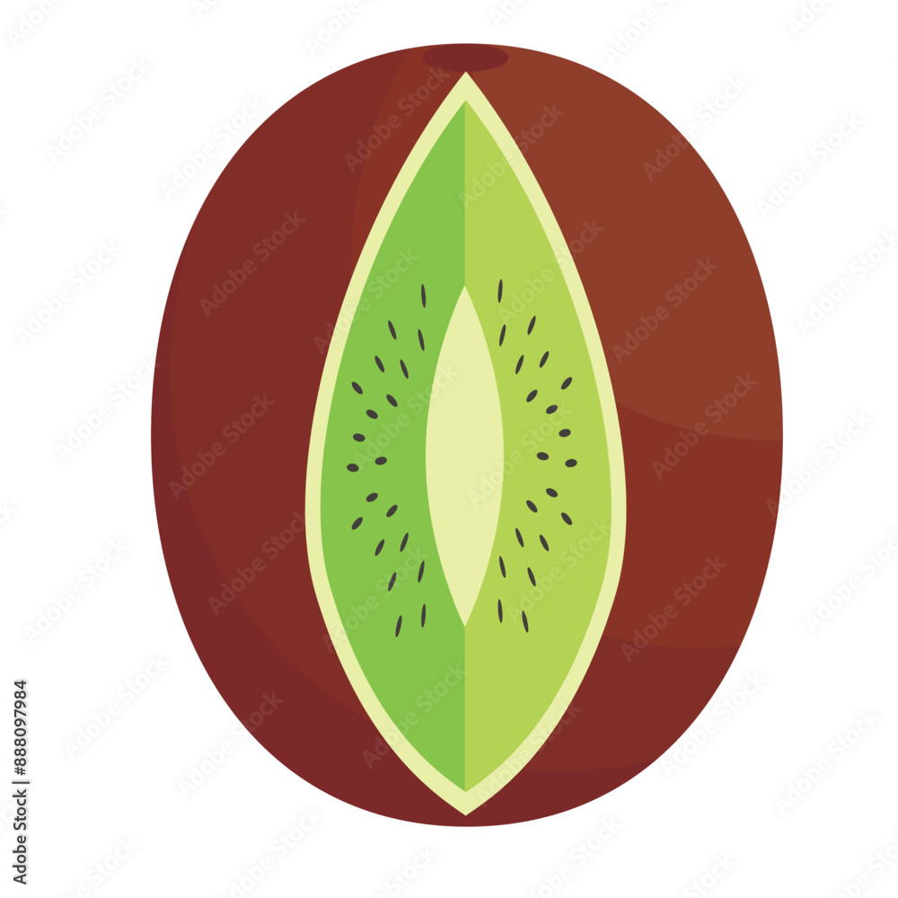 vector kiwi, isolated kiwi fruit illustration vector kiwi, isolated kiwi fruit illustration