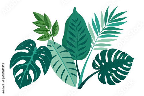 Tropical different types of exotic leaves set. Jungle plants. Calathea, Monstera, and palm leaves. Realistic vector  illustration isolated on a white background