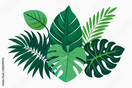 Tropical different types of exotic leaves set. Jungle plants. Calathea, Monstera, and palm leaves. Realistic vector  illustration isolated on a white background