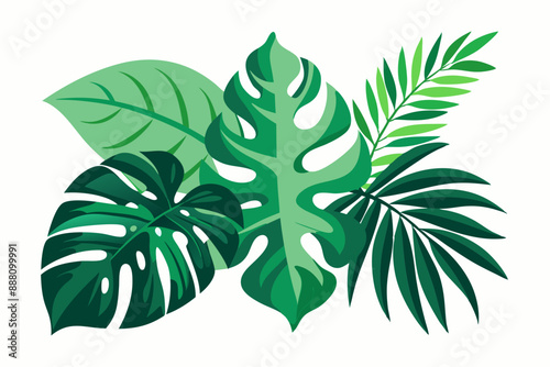 Tropical different types of exotic leaves set. Jungle plants. Calathea, Monstera, and palm leaves. Realistic vector  illustration isolated on a white background