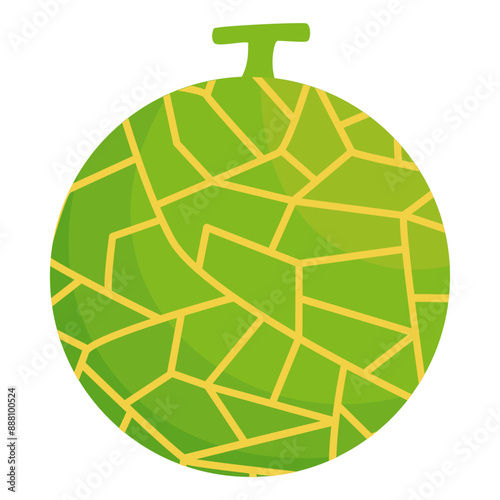 illustration of ripe melon fruit, tropical fruit