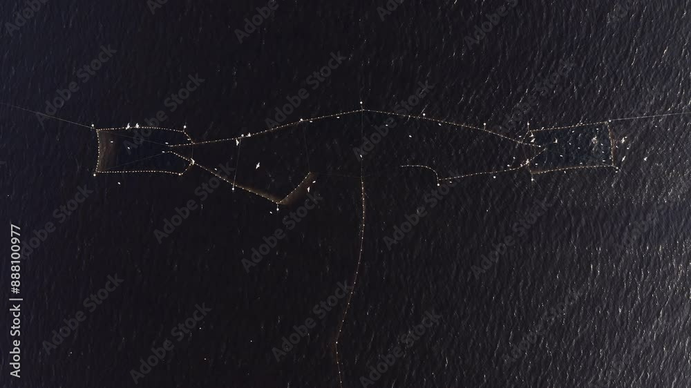 Aerial view, top down view, herring fishing nets in the Baltic Sea. Aerial view, top down view, herring fishing nets in the Baltic Sea.