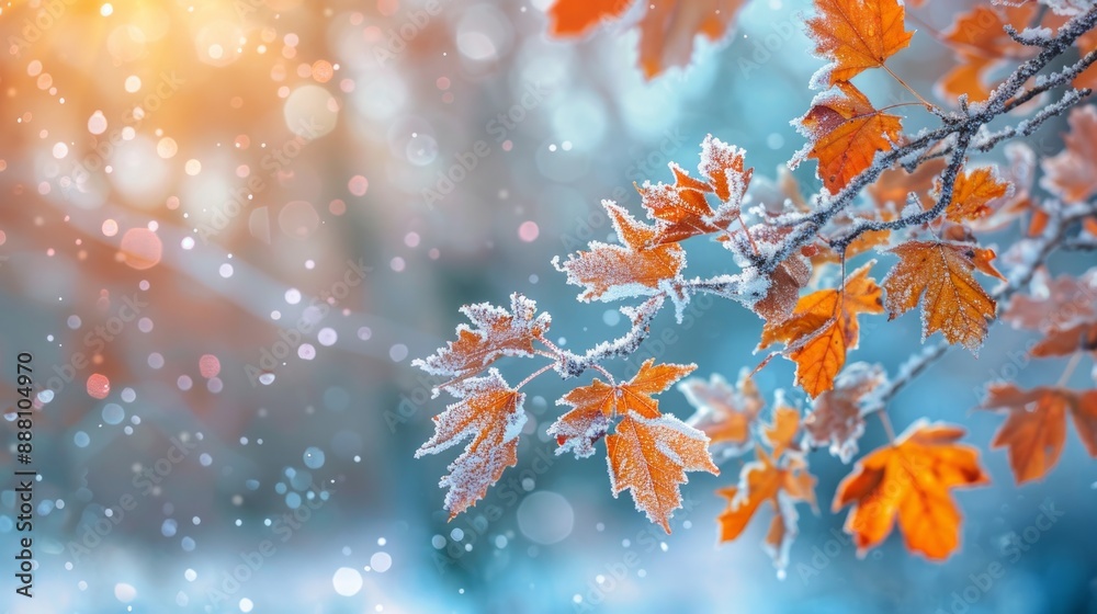 Frosted Autumn Leaves in a Winter Wonderland