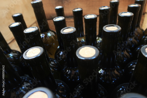 
Wine bottles aging in a Georgian cellar