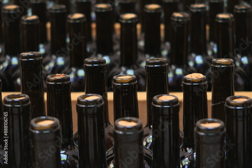 
Wine bottles aging in a Georgian cellar