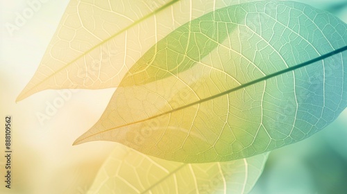 Delicate Leaf Veins in Pastel Hues