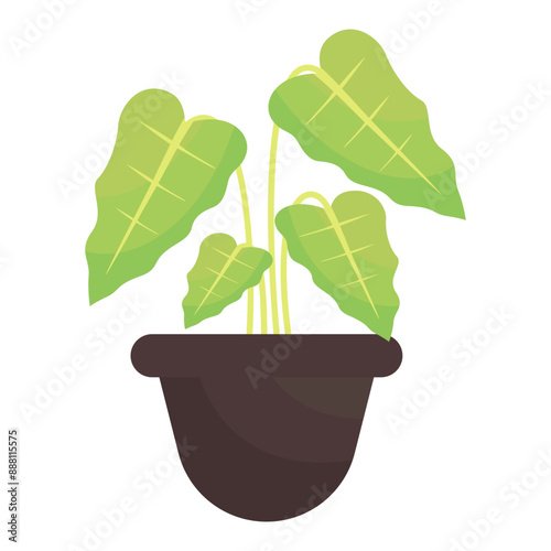 Decorative houseplants and indoor baskets for potted tree city garden vector