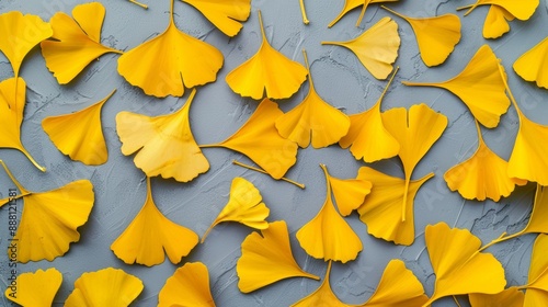 Overhead view of Ginkgo biloba leaves scattered on the ground, showcasing their fan-shaped form and bright yellow hue  photo