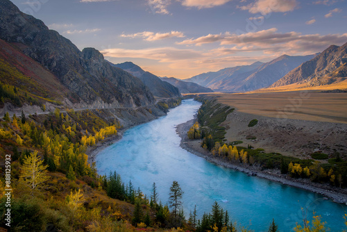 The blue water of Katun river, the autumn trees, in the mountain valley of Altai mountains in the Siberia, Russia, during the amazing sunset.
