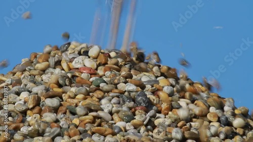 Gravel extraction in Botovo, Croatia photo