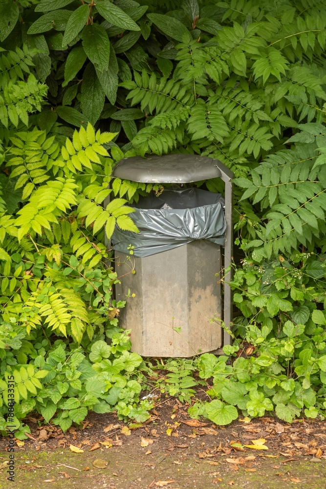 Obraz premium litter bin in the bushes of a park