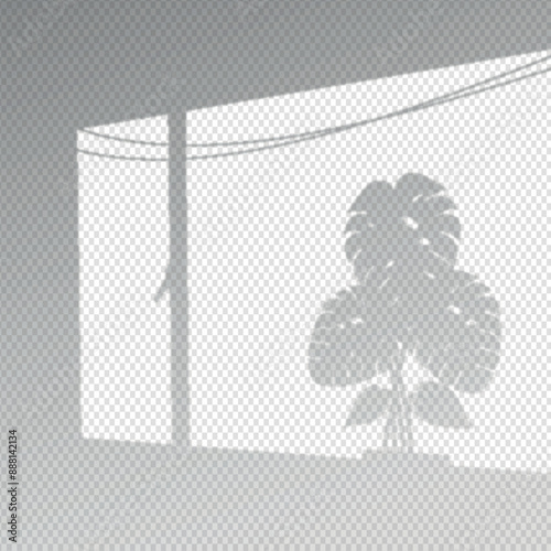 Transparent shadows overlay effect with monstera leaves