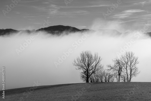 wafts of fog in the mountains of Austria