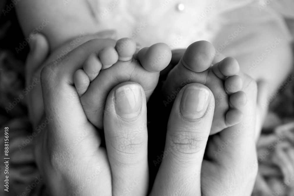 Mother is doing massage on her baby foot. Closeup baby feet in mother hands. Prevention of flat feet, development, muscle tone, dysplasia. Family, love, care, and health concepts. Black and white. Mother is doing massage on her baby foot. Closeup baby feet in mother hands. Prevention of flat feet, development, muscle tone, dysplasia. Family, love, care, and health concepts. Black and white.