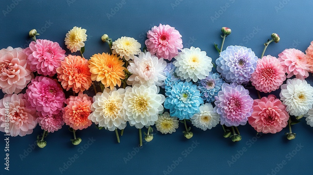 A cluster of vibrant blossoms resting on a azure tabletop, beside one another on a blue background A cluster of vibrant blossoms resting on a azure tabletop, beside one another on a blue background