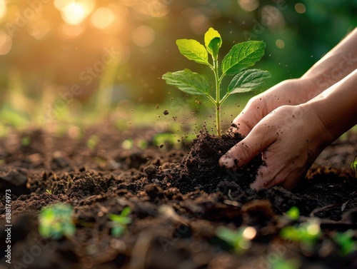 Symbolic image of planting a tree on Earth Day, hands gently placing it in soil, representing growth and sustainability.