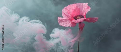 Panel kuchenny z motywem A cake-shaped ro-row kwiat with an abstracted mak and diagram. A cake-shaped ro-row kwiat with an abstracted diagram.