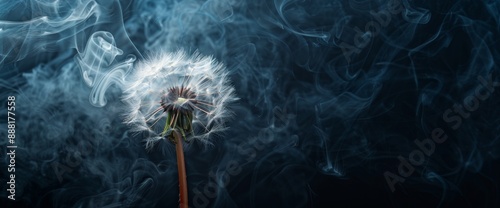 Panel kuchenny z motywem It's a beautiful fluffy white kwiat in the middle of an abstract piece.