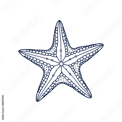 Sea starfish marine life line art
