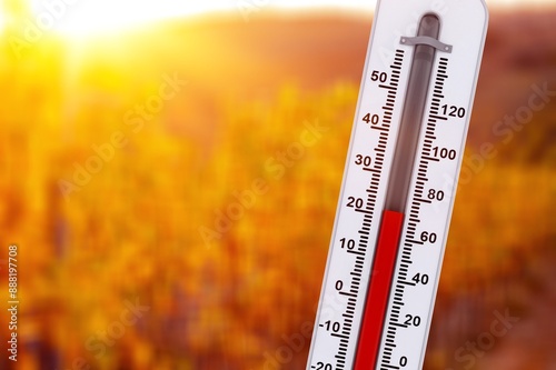 Hot weather thermometer. Heatwaves impact agriculture.