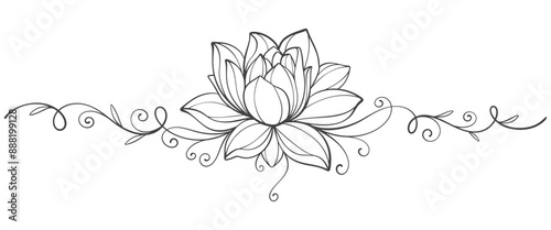 Line art illustration of the lotus flower. linear floral pattern. Vector design of a water lily