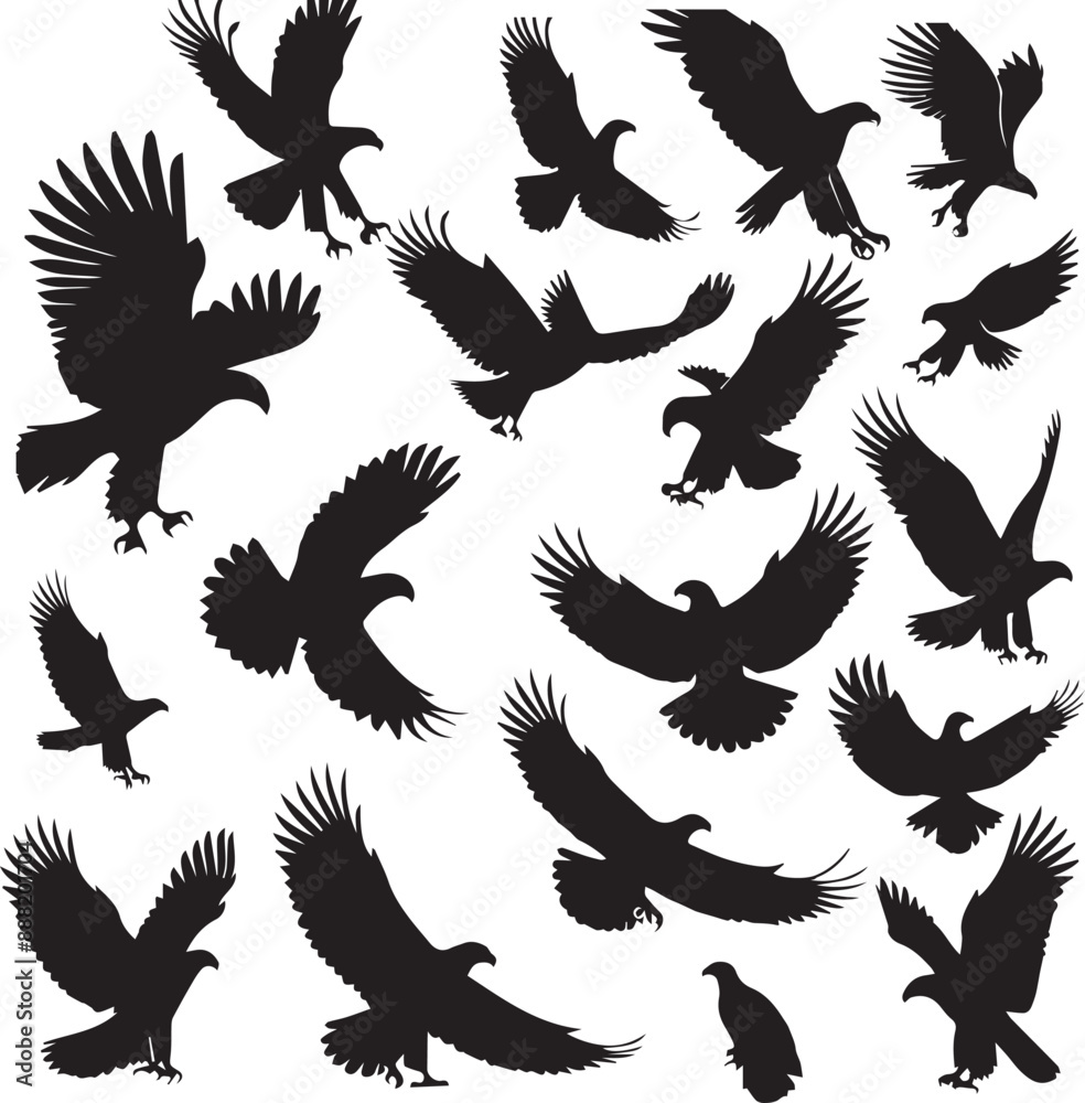 Obraz premium Eagle silhouette vectors on a white page high quality high resolution, black color isolated on white background