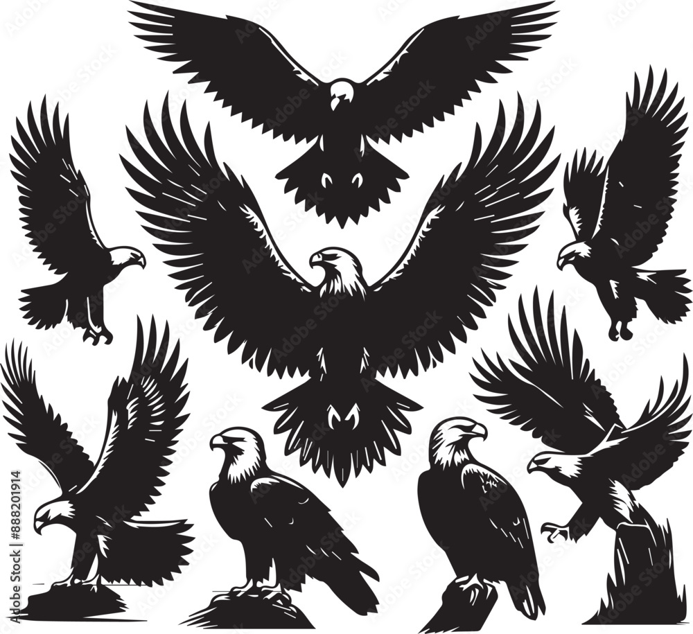 Obraz premium Eagle silhouette vectors on a white page high quality high resolution, black color isolated on white background