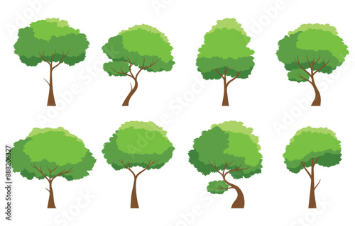 Collection of tree isolated on a white background. Each species of trees. A tree with green leaves. Nature or healthy lifestyle topics. Vector illustration flat design style