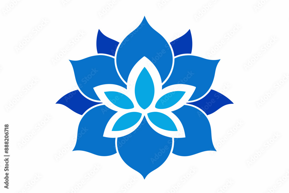blue and white flower blue and white flower