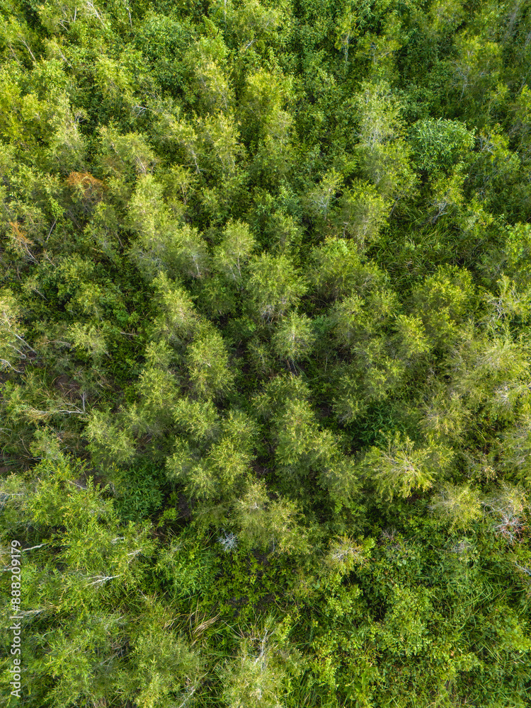 Beautiful Aerial View of Green Grass Hill in Buru Island, Maluku, Indonesia Beautiful Aerial View of Green Grass Hill in Buru Island, Maluku, Indonesia