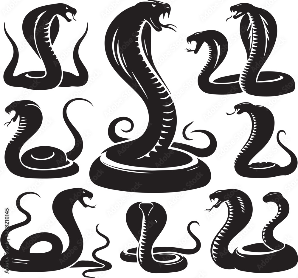 Fototapeta premium King Cobra silhouette vectors on a white page high quality high resolution, black color isolated on white background