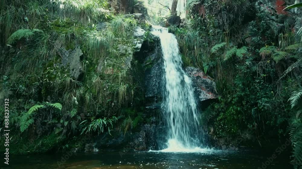 Cascada en la Quebrada Las Delicias
Captura la fuerza y belleza de la cascada principal en la Quebrada Las Delicias. Ideal para destacar la majestuosidad del agua.