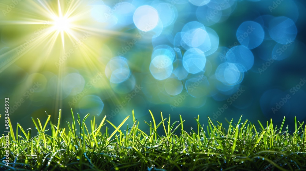 Obraz premium Bright Sun Shining on Green Grass with Blue Bokeh Background