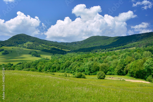 Fototapeta Naklejka Na Ścianę i Meble -  Summer trees and pasture in a beautiful mountain landscape.
Summer landscape in Low Beskids, Poland.