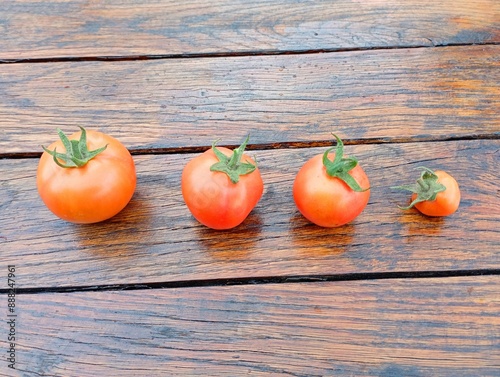 Four fresh, tasty home-grown tomatoes lined up by size. Homemade healthy organic vegetables on wooden table surface. photo