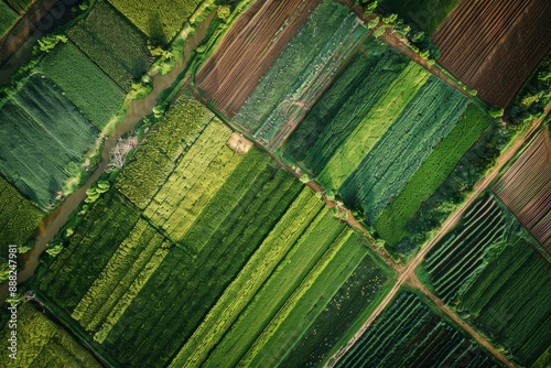 Bird s eye view of fields with irrigation canals photo