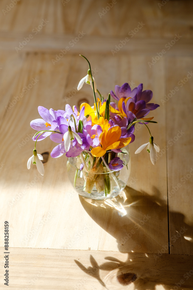 Bouquet of purple crocus in vase. Spring flowers in a vase.