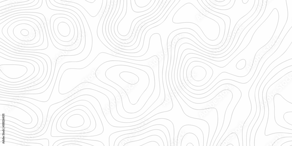 White wave line geography landscape Topo contour map on white background. Geographic mountain relief diagram line wave carve pattern. Topographic world map contour lines map texture.