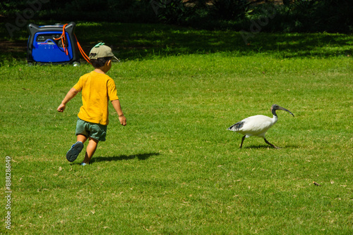 Criança correndo atrás de uma ave branca em um parque. photo