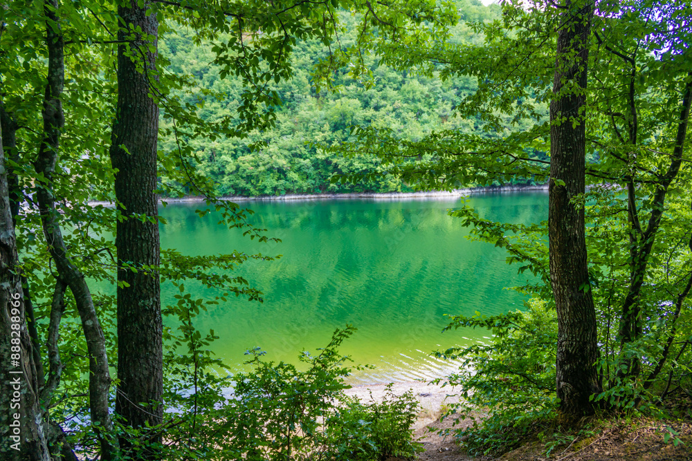 Obraz premium Radoinja Lake (Radoinjsko jezero)- a water gem in the Uvac Canyon, on the Zlatar mountain, close up of trees and green branches, green lake water background