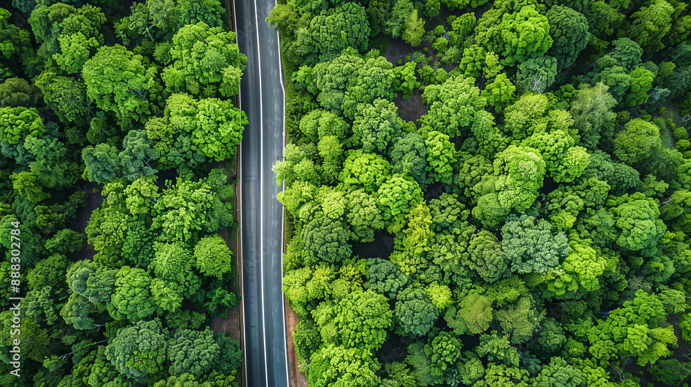 Fototapeta premium Aerial view of a scenic road cutting through a dense green forest, showcasing the vibrant foliage and natural beauty of the landscape