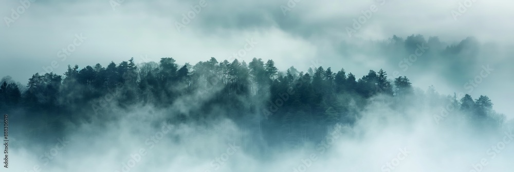 A foggy forest with trees and a misty sky. The atmosphere is calm and serene, with the fog creating a sense of mystery and tranquility. The trees are tall and dense, providing a sense of depth A foggy forest with trees and a misty sky. The atmosphere is calm and serene, with the fog creating a sense of mystery and tranquility. The trees are tall and dense, providing a sense of depth