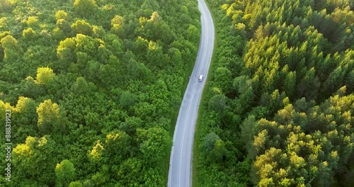 Aerial view at sunset: Car on winding road through dense, towering conifer forest