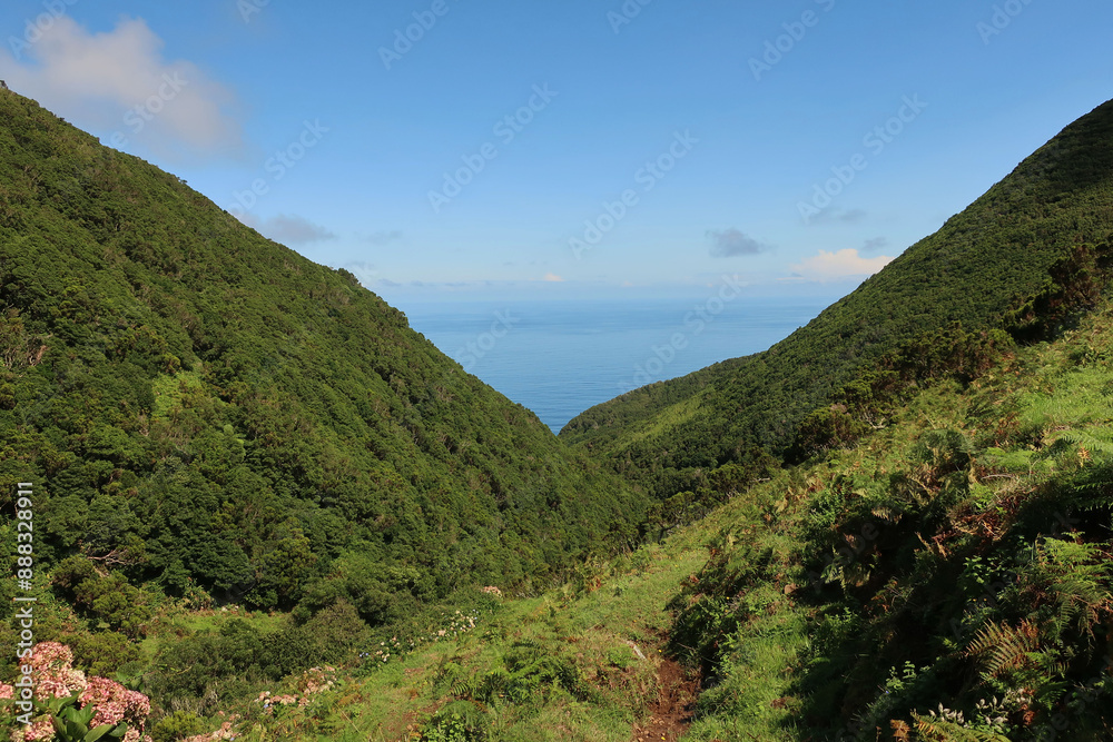 Fototapeta premium View of the hiking trail starting in Serra do Topo - Caldeira Santo Cristo - Fajã dos Cubres in São Jorge island, Azores, Portugal.