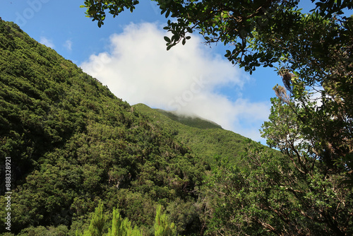 View of the hiking trail starting in Serra do Topo - Caldeira Santo Cristo - Fajã dos Cubres in São Jorge island, Azores, Portugal.